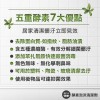 【勤達】 高效清潔除油-拜爾五重酵素泡沫清潔劑 1L/瓶-SC11 (買就送手套)